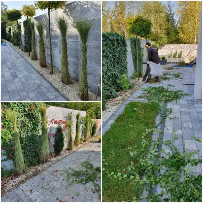 Ogrody Radosław Wierzoch